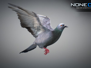 Doves animatetd Modelo 3D