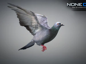 Doves animatetd 3D Model