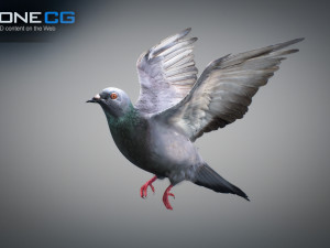 Doves animatetd Modelo 3D