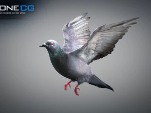 Doves animatetd 3D Model