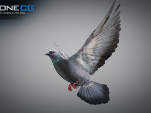 Doves animatetd Modelo 3D