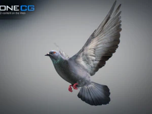 Doves animatetd 3D Model