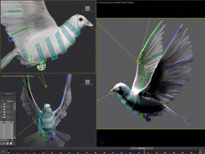 Doves animatetd 3D Model
