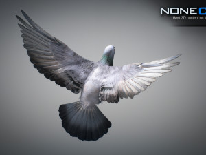 Doves animatetd Modelo 3D