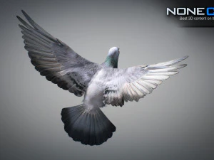 Doves animatetd 3D Model