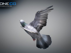 Doves animatetd Modelo 3D