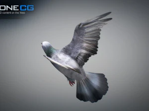 Doves animatetd 3D Model