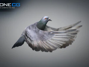 Doves animatetd 3D Model