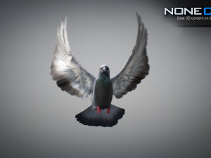 Doves animatetd Modelo 3D