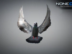 Doves animatetd 3D Model