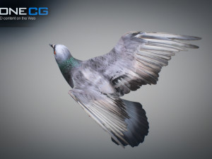 Doves animatetd Modelo 3D