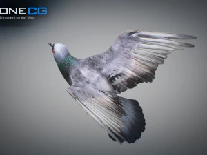 Doves animatetd 3D Model