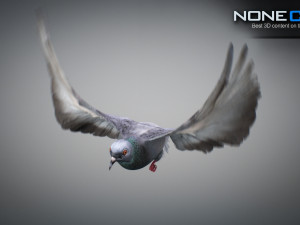 Doves animatetd Modelo 3D