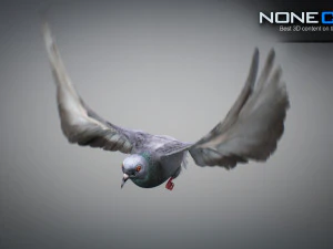 Doves animatetd 3D Model