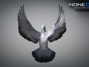 Doves animatetd Modelo 3D