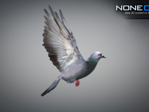 Doves animatetd Modelo 3D