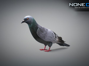 Doves animatetd Modelo 3D