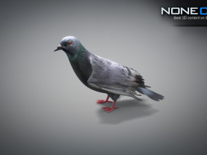 Doves animatetd Modelo 3D