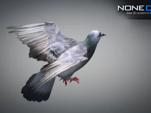 Doves animatetd 3D Model