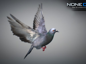 Doves animatetd Modelo 3D