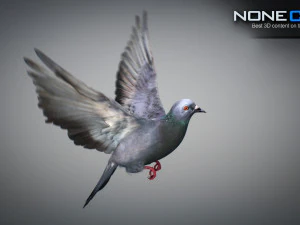 Doves animatetd 3D Model