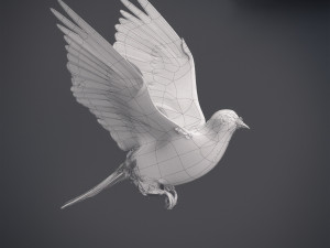 Doves animatetd Modelo 3D