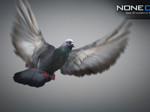 Doves animatetd Modelo 3D