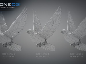 Doves animatetd Modelo 3D