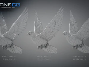 Doves animatetd 3D Model