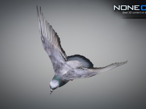 Doves animatetd Modelo 3D