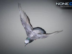 Doves animatetd 3D Model