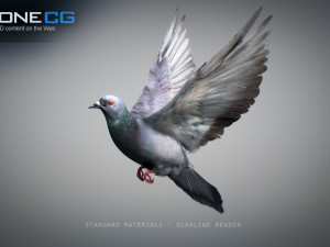 Doves animatetd Modelo 3D