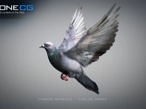 Doves animatetd 3D Model