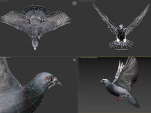 Doves animatetd Modelo 3D