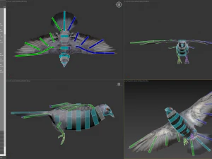Doves animatetd 3D Model