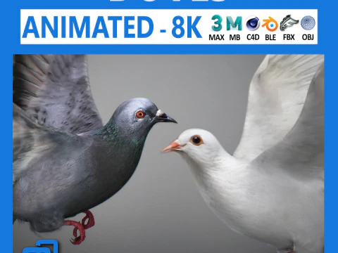 Голуби анімовані 3D Модель