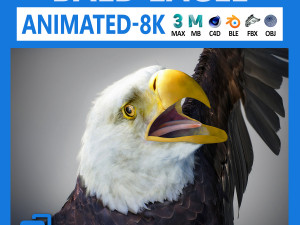 Animated Bald Eagle v2 3D Model
