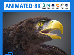 Animated Golden Eagle 3D Model