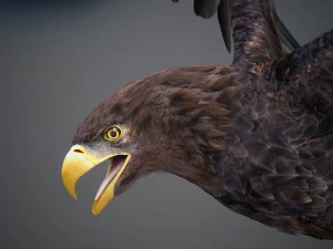 Animated Golden Eagle v2 3D Model