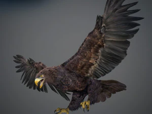 Animated Golden Eagle v2 3D Model