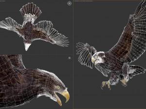 Animated Golden Eagle v2 3D Model