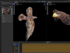 Animated Golden Eagle v2 3D Model
