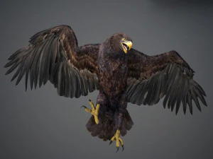 Animated Golden Eagle v2 3D Model