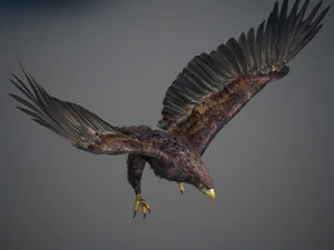 Animated Golden Eagle v2 3D Model