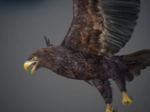 Animated Golden Eagle v2 3D Model