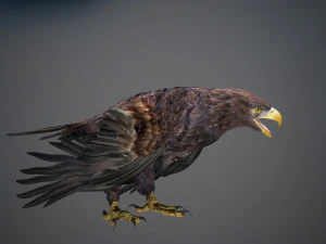 Animated Golden Eagle v2 3D Model