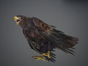 Animated Golden Eagle v2 3D Model