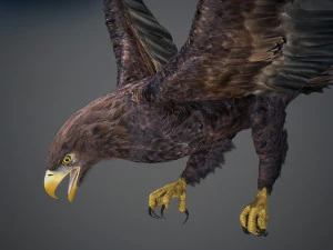 Animated Golden Eagle v2 3D Model