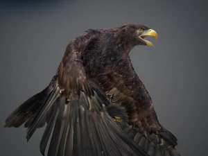 Animated Golden Eagle v2 3D Model