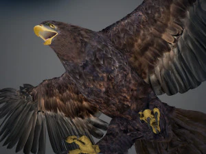 Animated Golden Eagle v2 3D Model